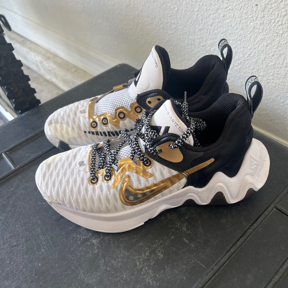 Nike Giannis Immortality Championship basketball sneakers size 5.5 Boys